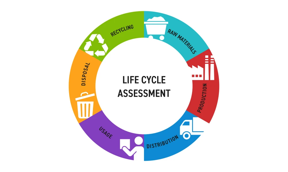 What Will You Learn on the CAVA Course