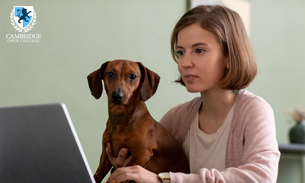 Can You Study an Animal Course Online for Free or at Low Cost