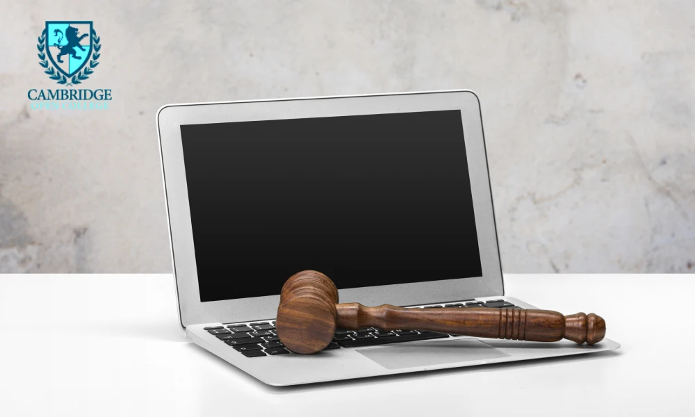 What Does an Employment Law Course Cover Online?