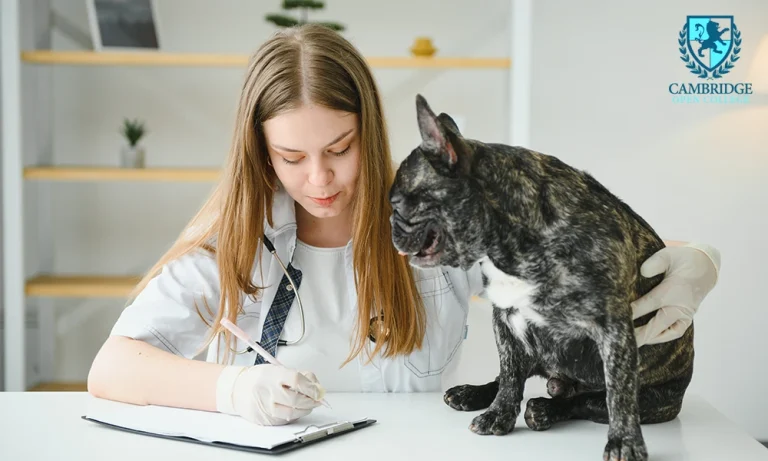 home study animal care diploma